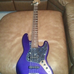FJS5_purple_2