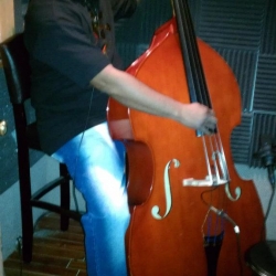 Upright in the Studio